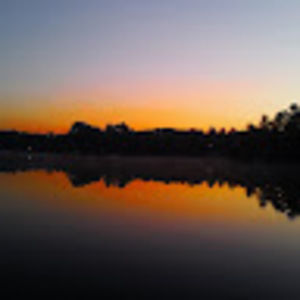 Meet your Posher, Clyde